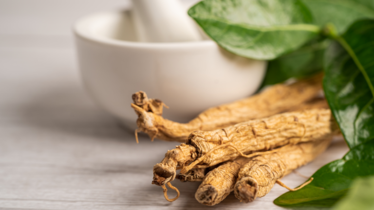 Drei getrocknete Wurzeln liegen auf einem Tisch mit einem Mörser und frischen Blättern im Hintergrund.
