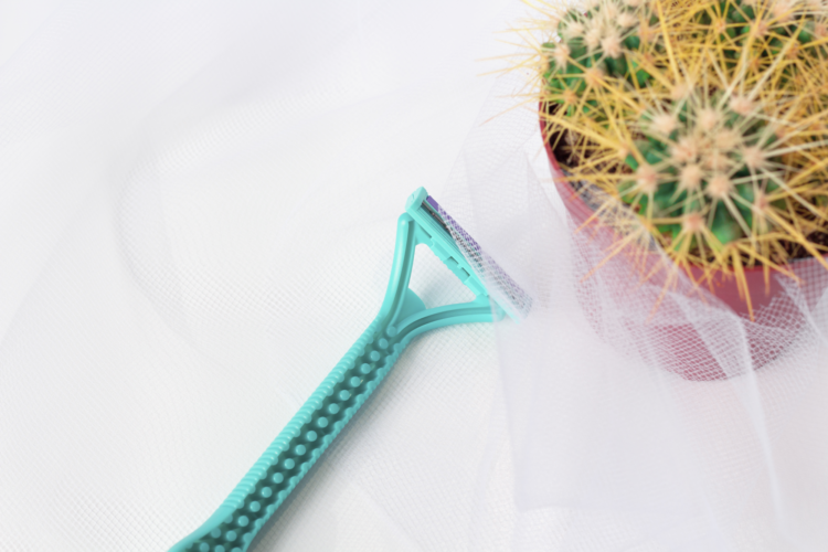 Ein grüner Rasierer liegt neben einem Topf mit einem Kaktus, umgeben von einem transparenten Stoff.
