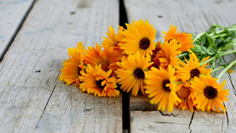 Ein Bund leuchtend orangefarbener Blumen liegt auf einem rustikalen Holztisch.