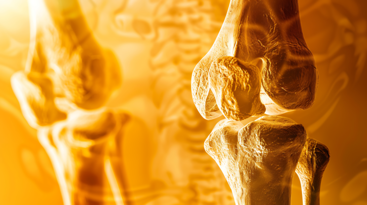 Detailaufnahme eines menschlichen Knies mit orangefarbener Hintergrundbeleuchtung.