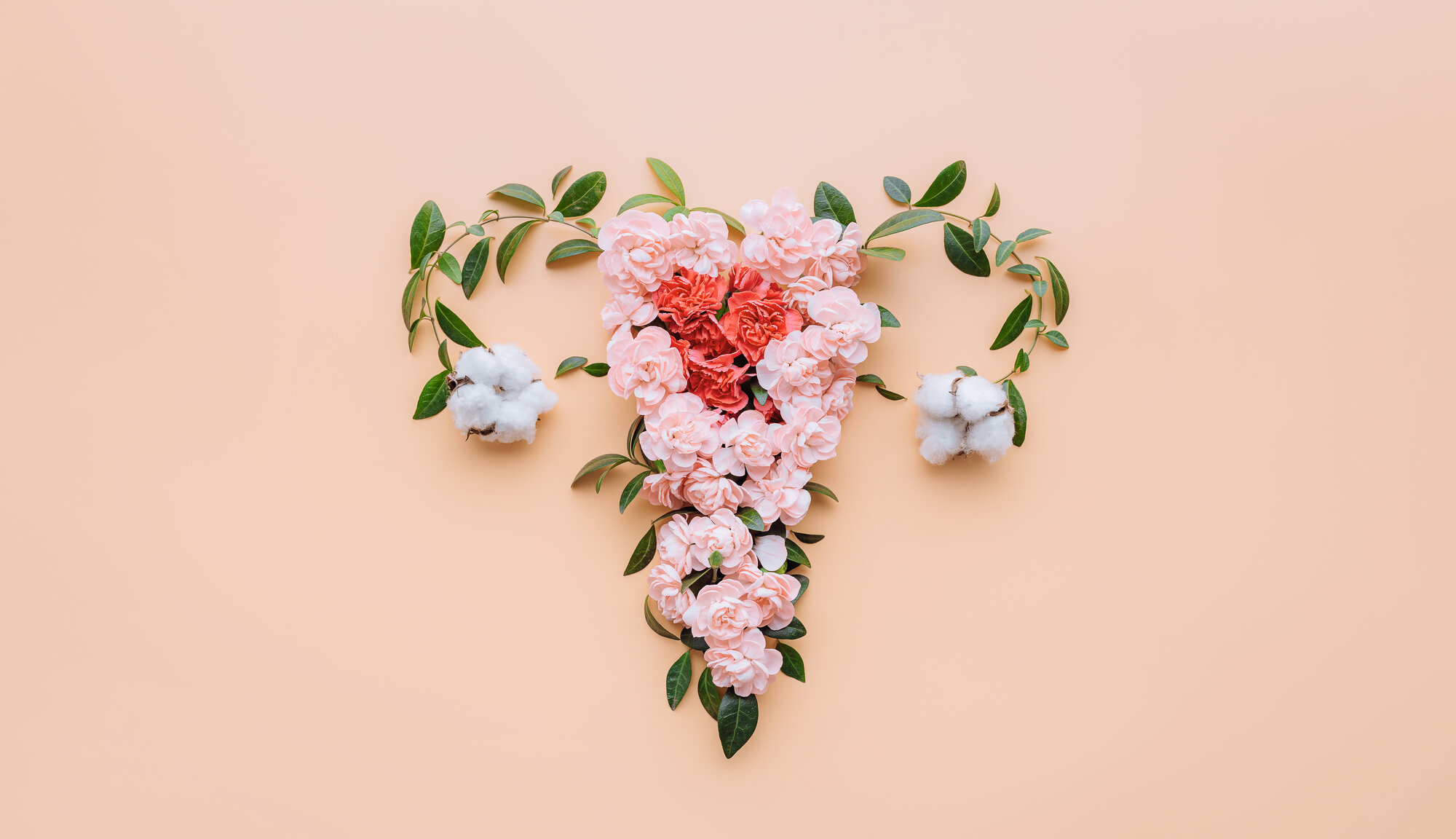 vaginaleGesundheit.jpeg Ein florales Arrangement in Herzform aus rosa Blumen und Baumwollblüten auf einem pfirsichfarbenen Hintergrund.